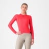 HIBISCUS/DARK GRAY